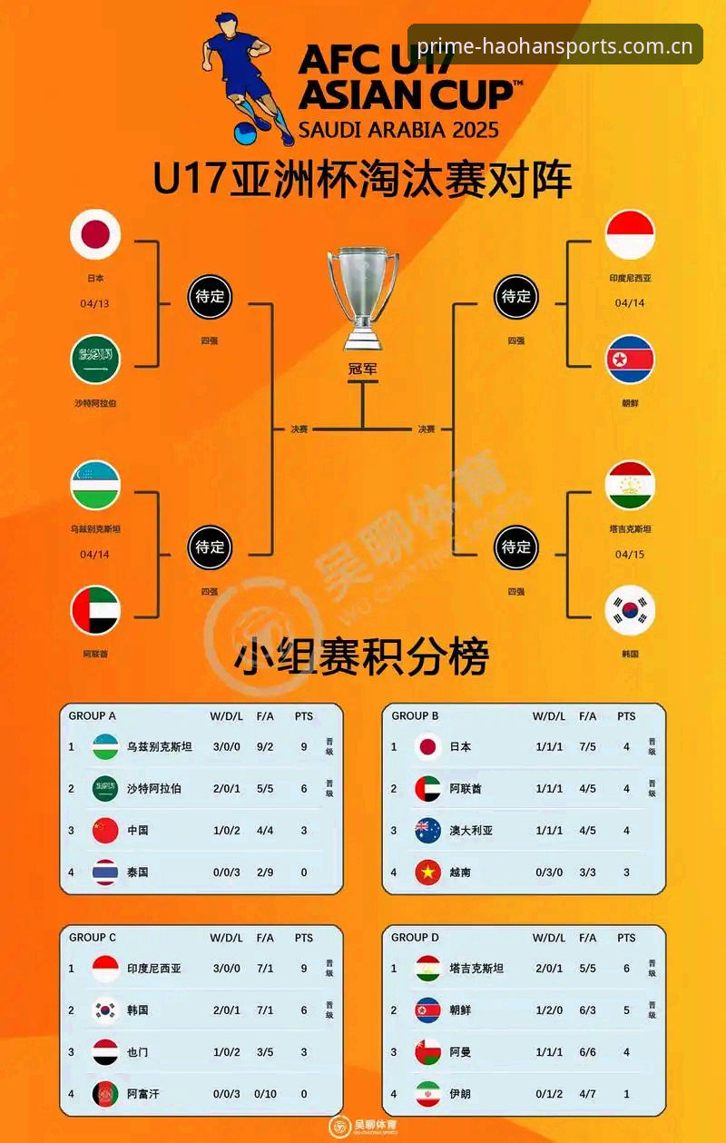 2030世界杯扩军66队实用分析：中国男足入场机会与观赛必备知识